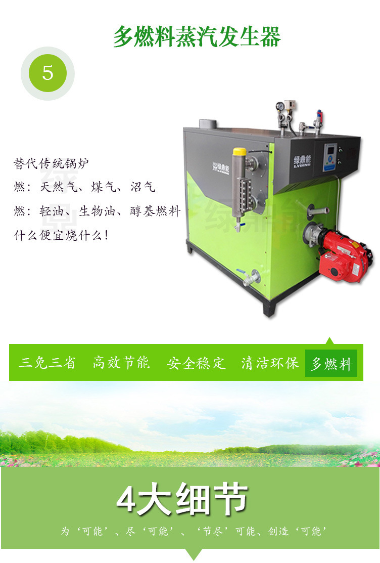 (綠)300kg燃油燃氣蒸汽發生器詳情頁（綠鼎能源）2017