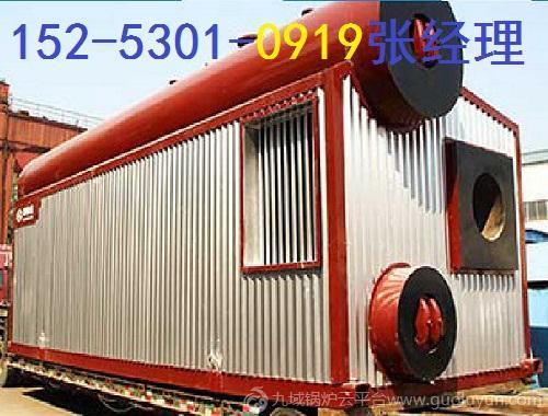 菏澤鍋爐燃?xì)忮仩tSZS20-2.5-Y(Q)