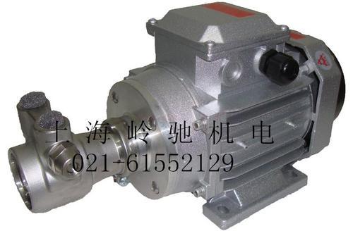 意大利納特NUERT&emsp;三相單相高壓旋轉葉片泵&emsp;增壓泵&emsp; 穩壓泵 