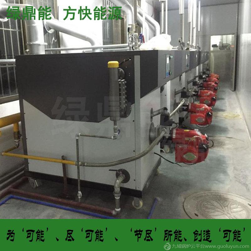 廠家直銷 綠鼎能燃油燃氣蒸汽鍋爐 50-500KG/H 臥式小型蒸汽發生器