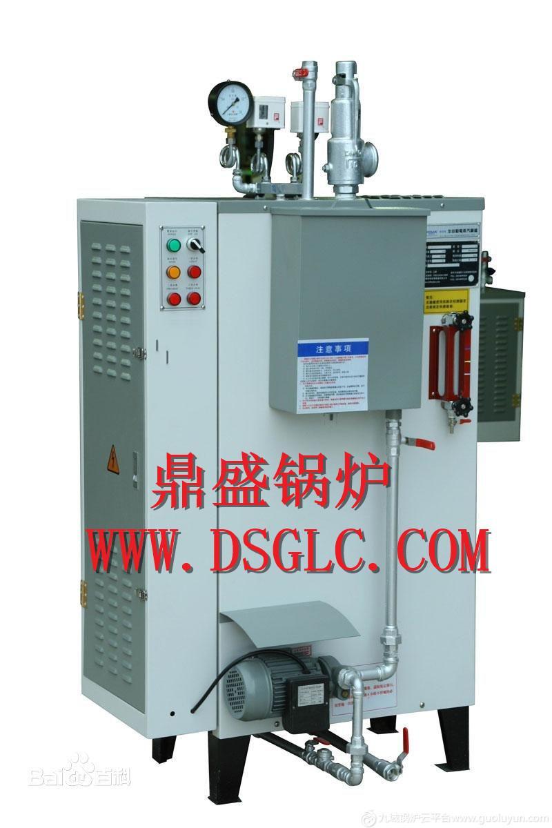濰坊鼎盛免檢型蒸汽發生器