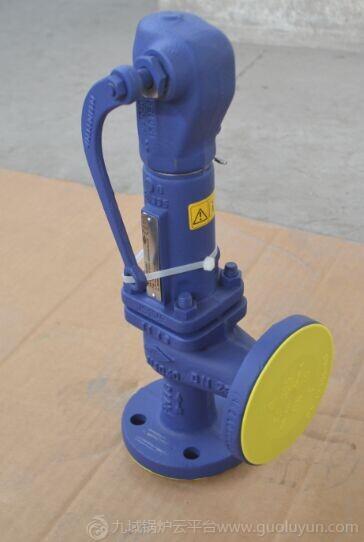 艾瑞FIG12.921標準式安全閥