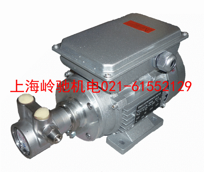 不銹鋼單相大馬力高壓旋轉葉片泵&emsp;石墨泵 滑片泵&emsp;高壓泵&emsp;&emsp;增壓葉片泵&emsp; 小流量泵